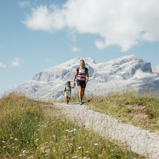 Una donna e un bambino piccolo camminano su uno stretto sentiero attraverso un prato alpino con fiori. Sullo sfondo, i cosiddetti Monti Pallidi si innalzano verso il cielo limpido e azzurro.