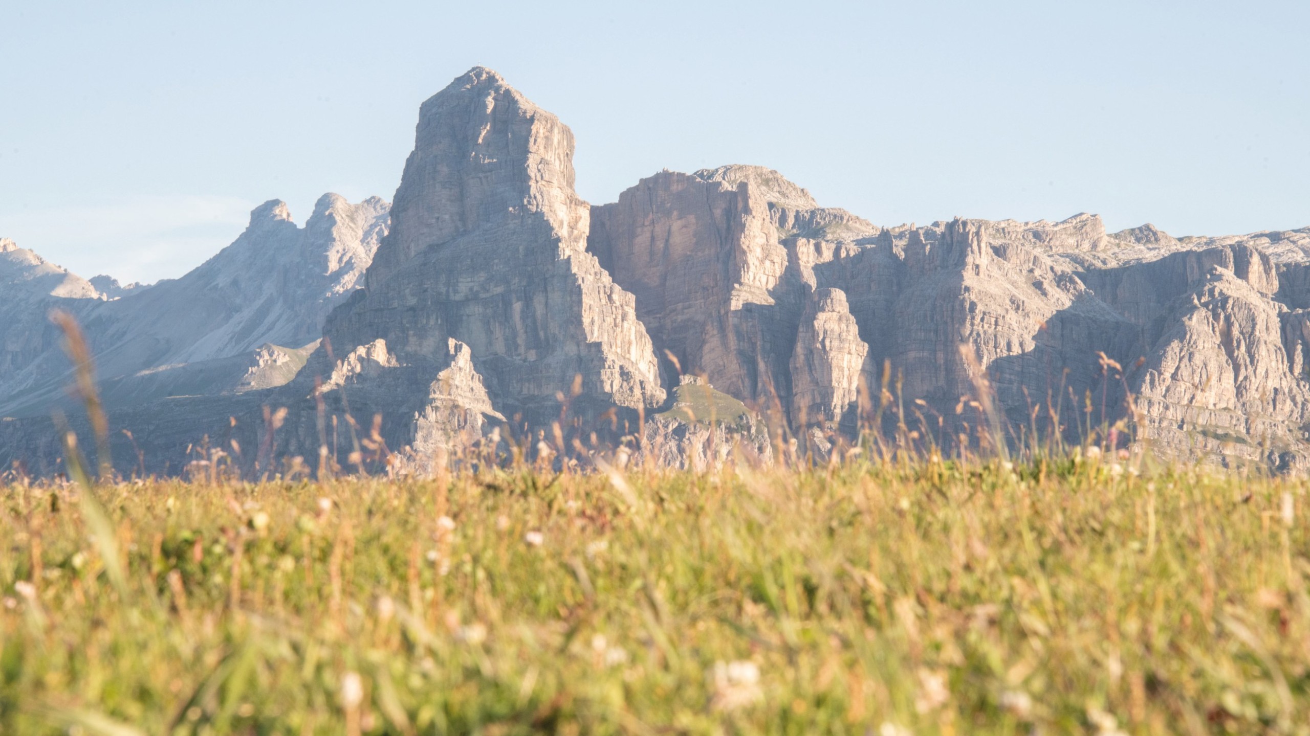 Il prato alpino fiorito ed erboso dell'altopiano di Pralongià è completamente non edificato e offre la vista sulla vetta dolomitica chiamata Sassongher, che si trova sull'altro lato della valle.