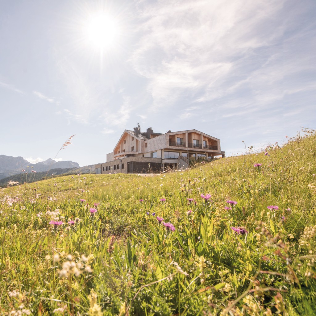 Il Rifugio Alpino Pralongià su un prato fiorito colorato e profumato, sotto un cielo blu con sole e montagne sullo sfondo.