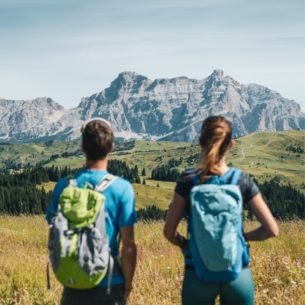 Zwei Wanderer mit Rucksack sind umgeben von grünen Wiesen und betrachten das Bergpanorama in der Sonne.