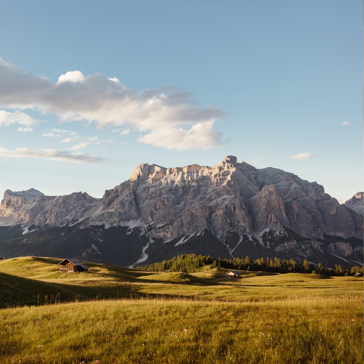 Wide grassy alpine meadows with individual wooden mountain huts in front of massive mountains under a blue sky with few clouds.