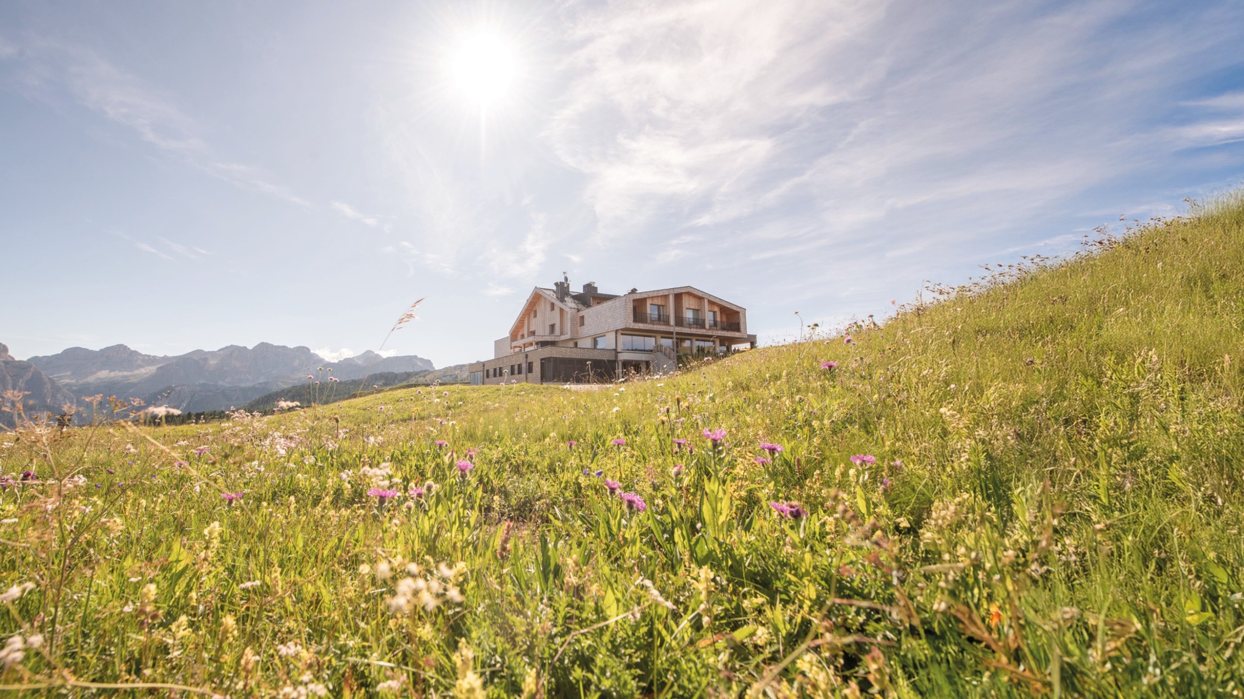 Il Rifugio Alpino Pralongià su un prato fiorito colorato e profumato, sotto un cielo blu con sole e montagne sullo sfondo.